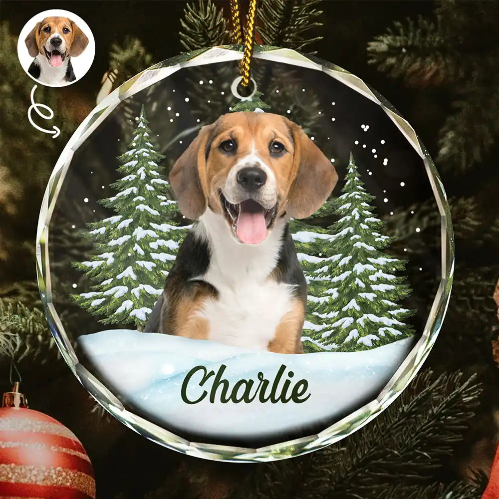 Personalized Pet Memorial Glass Ornaments, Custom Photo Ornament, Christmas Memorial Ornament