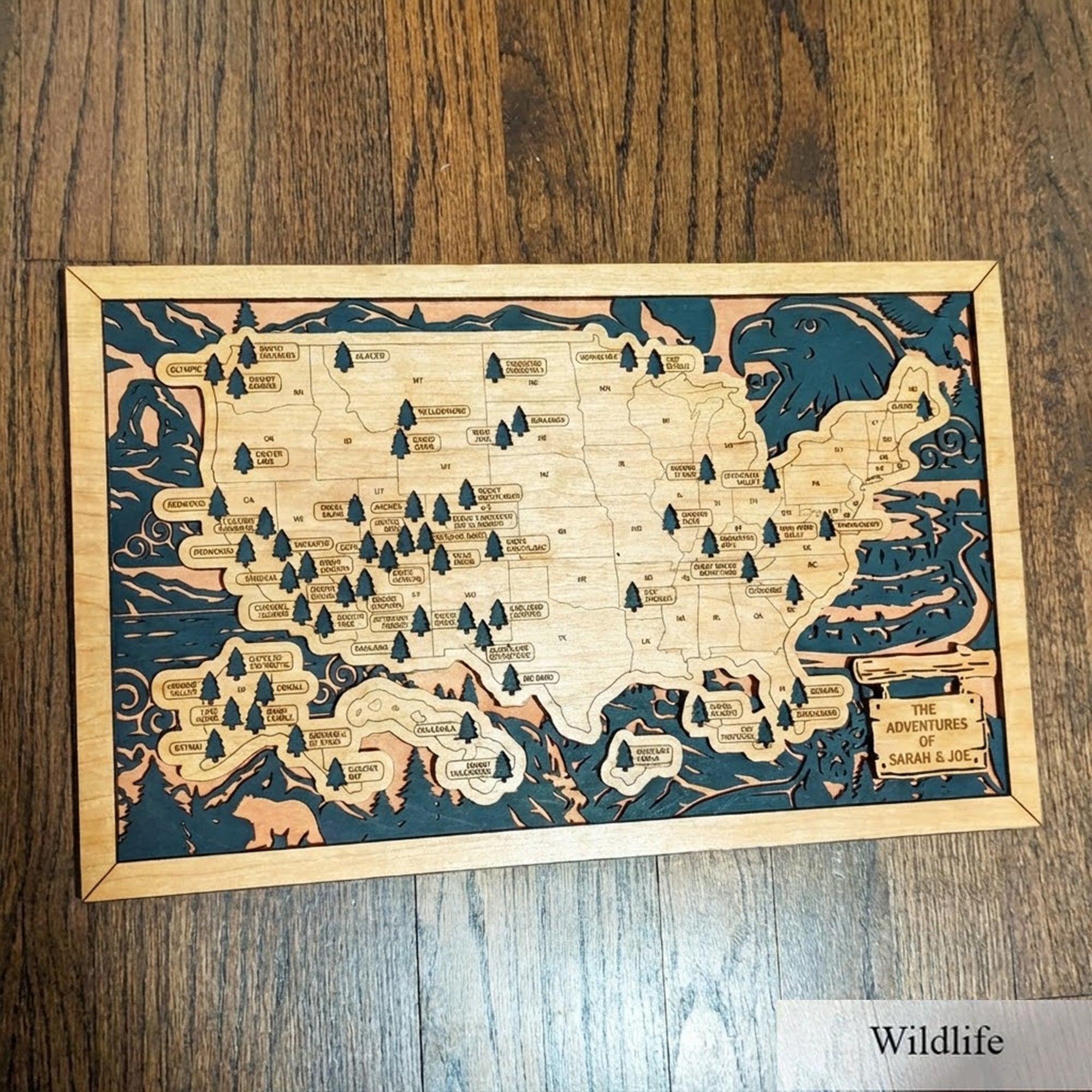 Personalized National Park Map Wooden Checklist Travel With Pins, Travel Map Tracker, Wildlife Map, Gift for Hiker