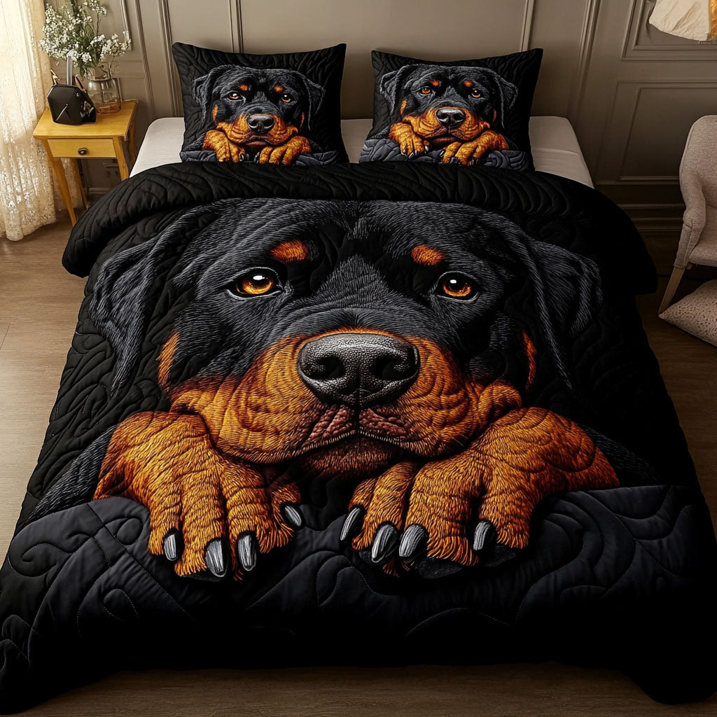 Gentle Gaze 3-Piece Quilted Bedding Set Lightweight Quilt Set Housewarming Gift