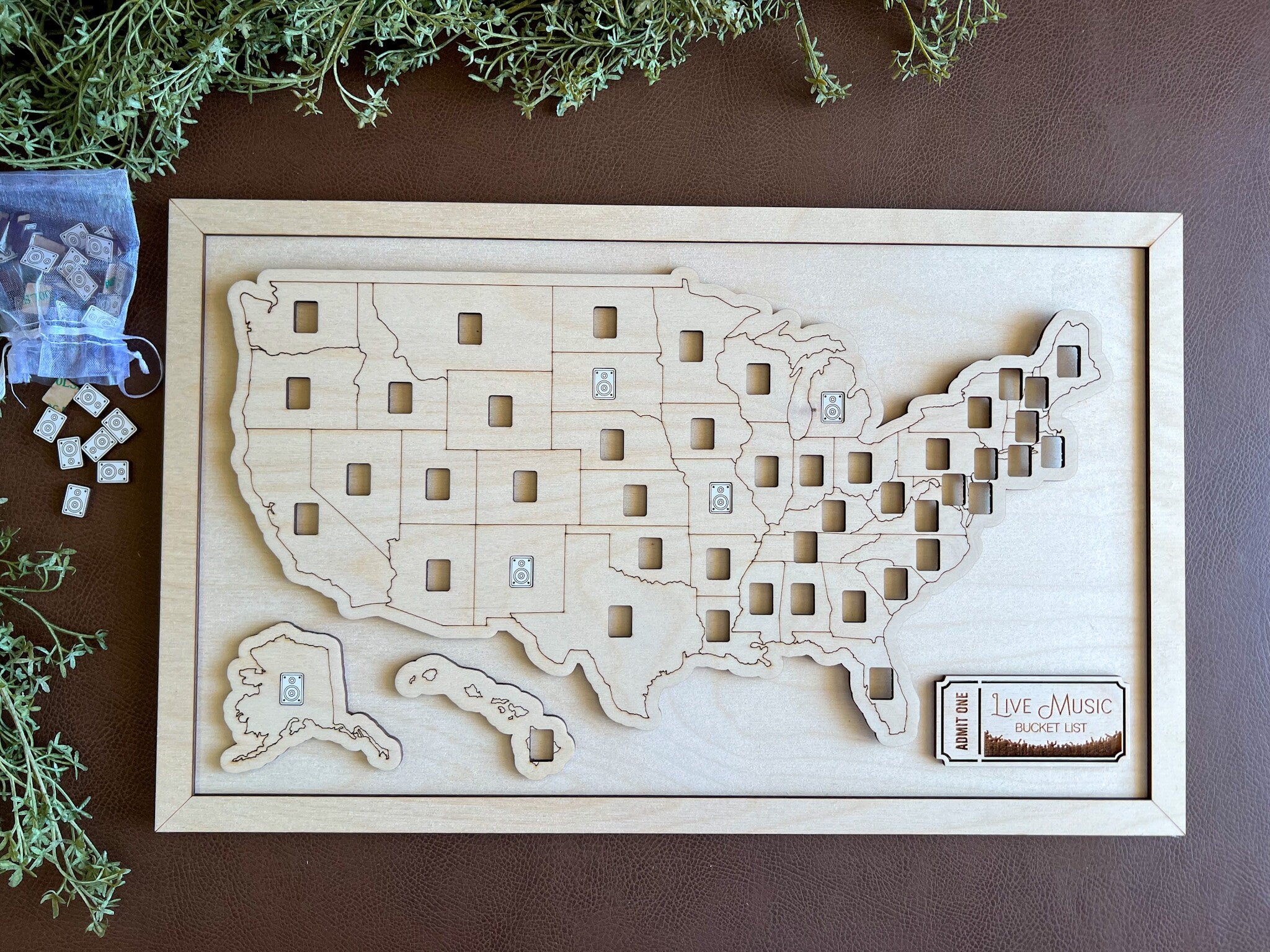 Live Music Bucket List With Pins, Gift For Music Lover