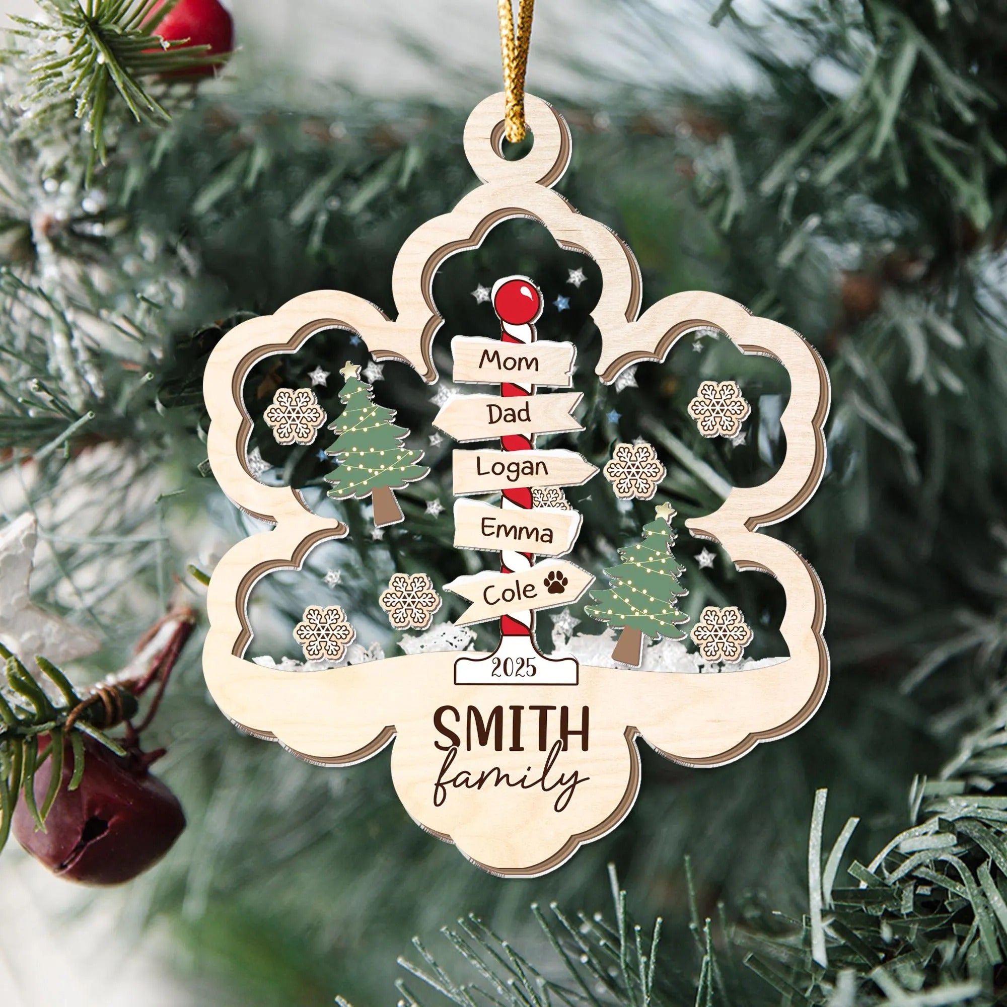 Personalized 4D Family Shake Ornament, Family Christmas Ornament, Christmas Tree Ornament
