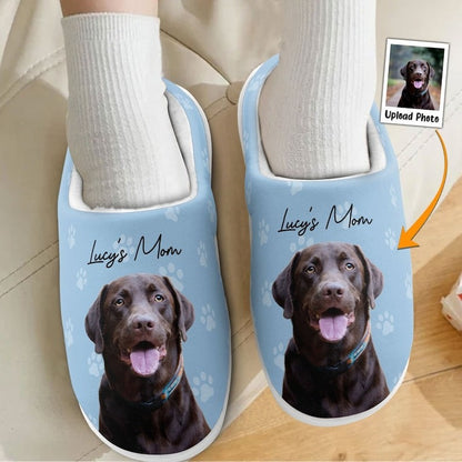 Personalized Photo Slippers, Custom Pet Photo Gift For Dog Lovers, Dog & Cat Personalized Fluffy Slippers, Gift For Pet Owner, Funny Slipper