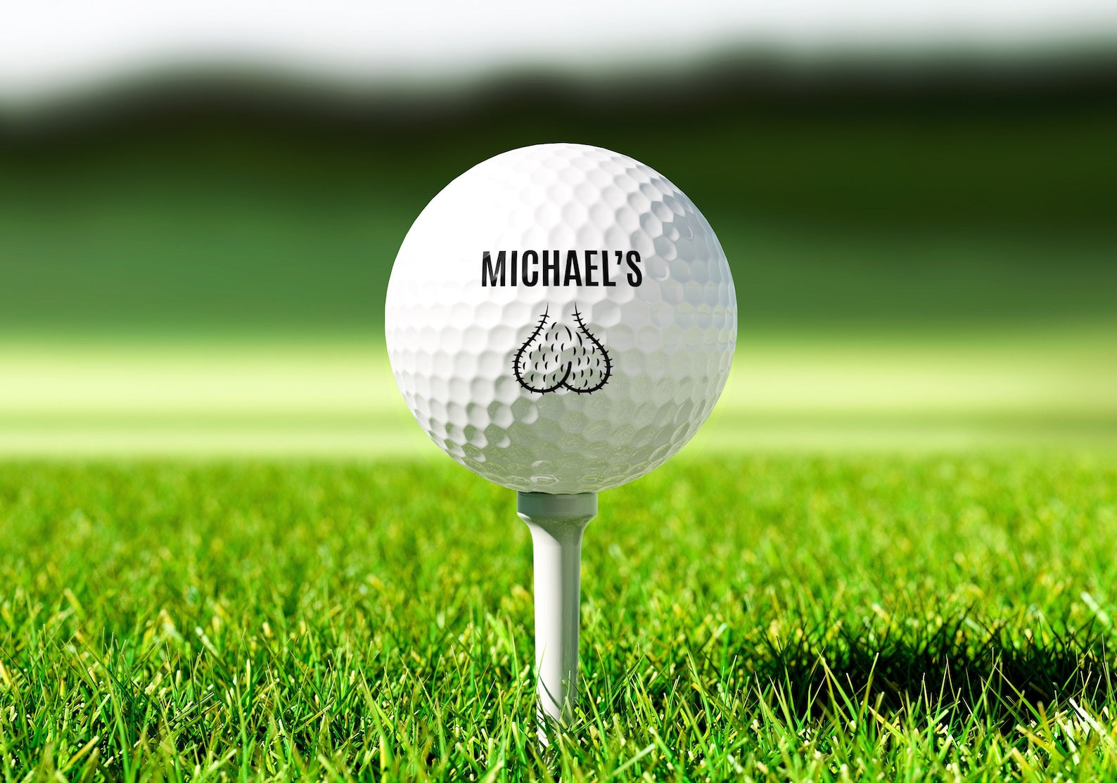 Personalized Funny Golf Balls, Custom Golf Balls, Gift For Golfer